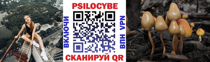 блэк спрут ссылка  Уссурийск  Галлюциногенные грибы прущие грибы  как найти  